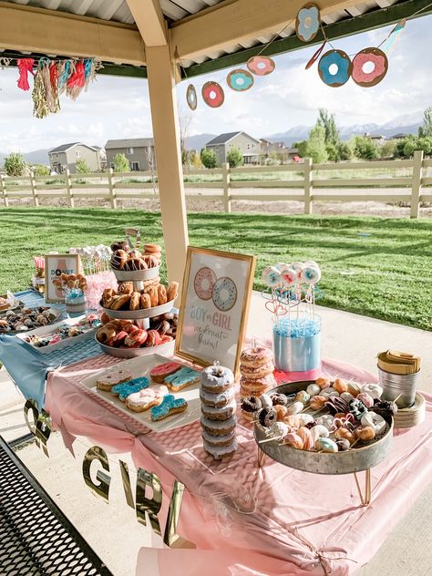 Brunch Gender Reveal Ideas, Gender Reveal Donuts Ideas, Cute Gender Reveal Food Ideas, Donut Wall Gender Reveal, Doughnut Gender Reveal Party, Surprise Gender Reveal Party, Donut Know Gender Reveal, Gender Reveal Picnic Party Ideas, Grander Reveal Ideas