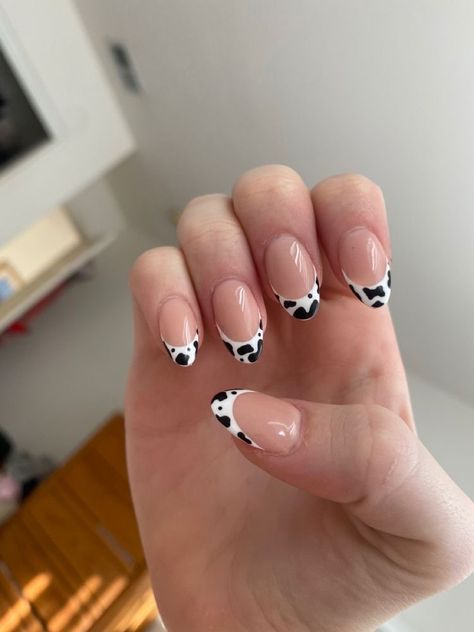 Nails For Western, Cute Cowgirl Nails Short, Simple Nail Designs Cow Print, Short Acrylic Nails Almond Cow Print, Cow Print French Tips Almond, Cow Print Nail Designs Acrylic, Simple Cow Nail Designs, French Nails Cow Print, Cow Print French Tip Nails Almond