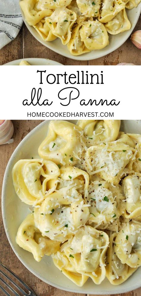 Creamy Tortellini Alfredo, Tortellini Pasta Sauce Easy Recipes, Cheese Tortellini Recipes Olive Oil, Tortellini Olive Oil Sauce, Easy Recipes With Cheese Tortellini, Tortellini For One, Olive Oil Tortellini, 4 Cheese Tortellini Sauce, Bacon Tortellini Recipes