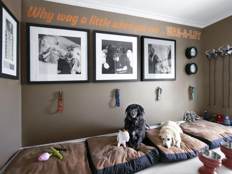 9 Bougie AF Pet Rooms Better Than Your First Apartment Dog Room Decor, Dog Den, Dog Bedroom, Puppy Room, Dog Spaces, Dog Room, Dog Area, Dog Rooms, Animal Room