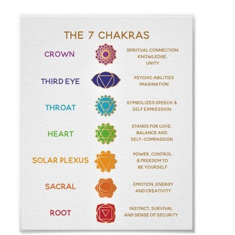 7 Chakras Meaning, Chakra Chart, Chakra Health, The Seven Chakras, Spiritual Journals, Seven Chakras, Teacher Cards, Energy Healer, Les Chakras