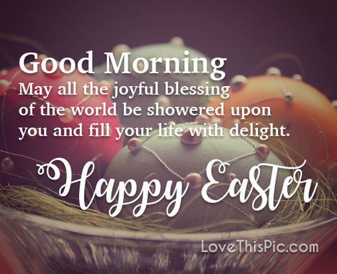 Happy Easter Messages, Fun Family Christmas Games, Happy Easter Quotes, Happy Easter Sunday, Outdoor Christmas Planters, Sunday Wishes, Glam Christmas Decor, Pretty Christmas Decorations, Easter Greetings Messages