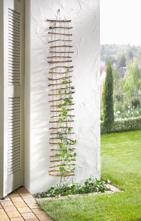 twig-trellis-frank-flechtwaren-gardenista Taman Diy, Diy Garden Trellis, Jardim Diy, Tanaman Pot, نباتات منزلية, Vertical Garden Diy, Vertical Gardens, Diy Gardening, Garden Artwork