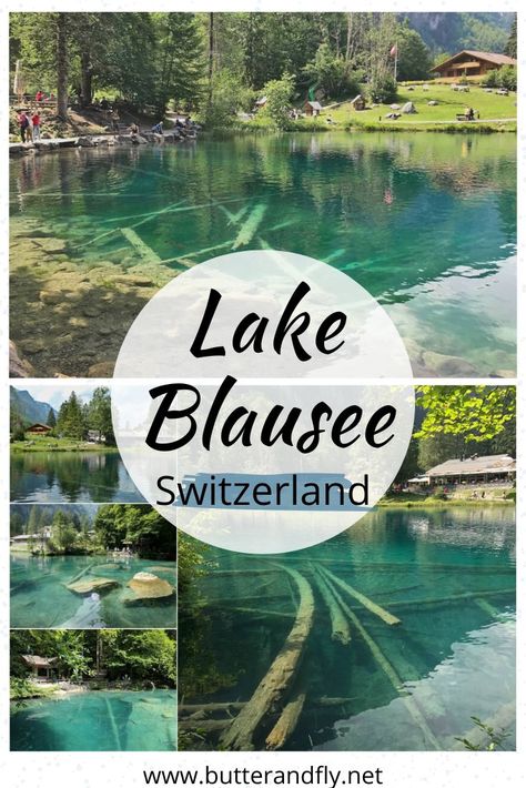 Lake Blausee Switzerland, Switzerland Travel Summer, Blausee Switzerland, Trout Farm, Visit Switzerland, Eco Travel, Switzerland Travel, Natural Park, Europe Travel Guide