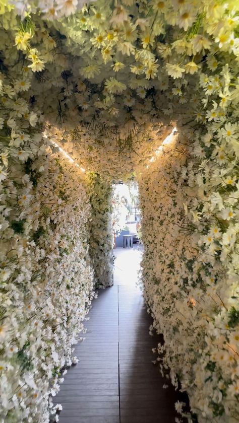 sharmedlife on Instagram: Everything is coming up daisies 🌼 at @phdterraceny! The daisy flower tunnel is back and definitely try their dreaming daisies 🪴 dessert!… Wedding Tunnel, Wedding Tunnels, Flower Tunnel, Background Photos, Salon Interior Design, Flowers Wedding, Daisy Flower, Quince, Wedding Decor