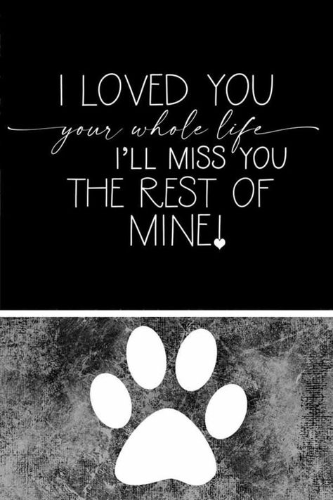 PET LOSS AND MEMORIAL digital quotes - INSTANT DOWNLOAD This word art collection is designed for those experiencing grief, mourning, memorial inspiration ideas for a pet. These quotes touch the heart and soul and hopefully are able to express in words what you might find difficult expressing during Rip Pet Quotes Cat, Dead Cat Quotes, Cat Memorial Quotes, Cat Died Quote, Dog Died Quotes, Dead Dog Quotes, Rip Dog Quotes, Gravestone Ideas, Memorial Words