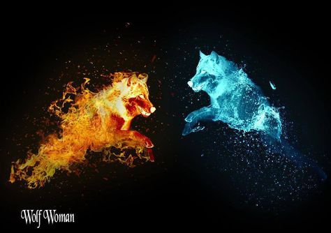 Fire & Ice Wallpaper For Youtube Channel, Fire Vs Water, Pubg Wallpaper, Twin Flame Art, Yin Yang Art, Fire And Water, Flame Art, Wolf Spirit Animal, Gothic Fantasy Art