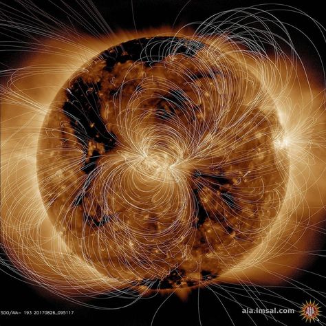 Image of Sun with magnetic field lines around the surface Nasa Sun, Images Of Sun, Nasa Images, Hubble Images, Hubble Space, Space Images, Space Pictures, Solar Wind, Hubble Space Telescope