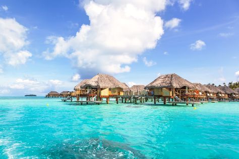 Spend the Night in an Overwater Bungalow Tropical Airbnb, Best Bucket List, Dream Vacation Spots, Airbnb Rentals, Overwater Bungalows, Honeymoon Ideas, Tropical Destinations, Bucket List Destinations, Bora Bora