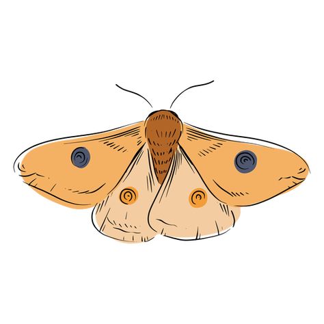 Moth illustration #AD , #Ad, #sponsored, #illustration, #Moth Moth Drawing Wallpaper, Moths Drawing Simple, Aesthetic Moth Drawing, Moth Drawing Aesthetic, Moth Art Cute, Fuzzy Moth Drawing, Moth Cartoon Drawing, Easy Moth Painting, Simple Moth Painting