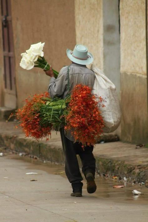 Carrying Flowers, People Being People, Arte Inspo, Being Human, Foto Art, 인물 사진, Central America, Photography Inspo, Reference Photos