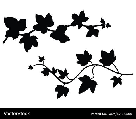 Ivy branches silhouette vector image on VectorStock Vine Silhouettes, Ivy Silhouette, Branches Silhouette, Tree Branch Silhouette, Vine And Branches Clip Art, Branch Silhouette, Transparent Png, Png Images, Ivy