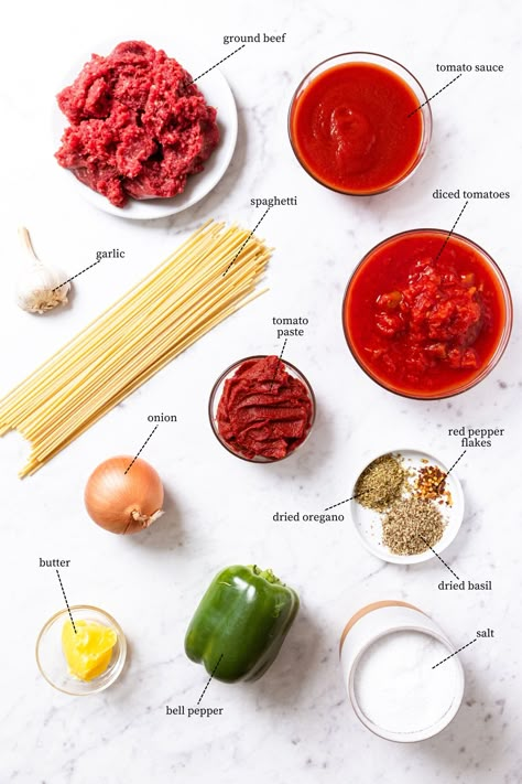 A homemade meat sauce with spaghetti is a delicious and cozy weeknight meal to prepare. While this sauce is not a traditional Italian recipe, it’s packed with flavor and is easy enough to make any night of the week or special enough for the weekend. Swirl a serving on a plate and watch the family come running to devour this sauce! | wyseguide.com #spaghetti #sauce #recipe #dinner #weeknight Italian Spaghetti Sauce, Spaghetti With Meat Sauce, Spaghetti With Meat, Best Spaghetti Sauce, Spagetti Recipe, Homemade Meat Sauce, Sauce Spaghetti, Spaghetti Meat Sauce, Meat Sauce Recipes