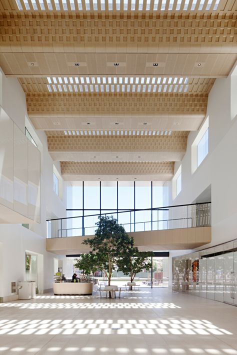 Hospital Design Architecture, Healthcare Interior Design, Modern Hospital, مركز ثقافي, Hospital Architecture, Lobby Interior Design, Healthcare Architecture, Hospital Interior, Lobby Interior