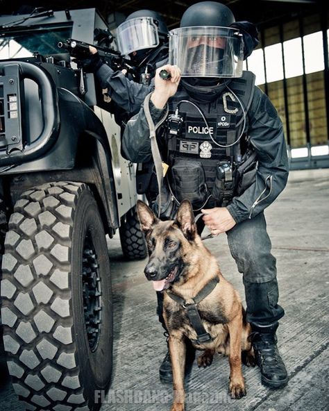 Happy belated national dog day ! I know, I know, it was yesterday... #bri#french#police#paris#k9 #maitrechien #malinois#maligator… Police Dog, Malinois Photography, K9 Police Dogs, Belgian Malinois Working, Police Canine, Swat Police, Happy Nation, K9 Officer, Beverly Hills Chihuahua