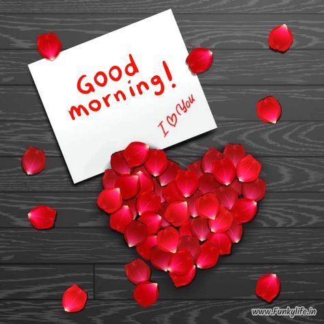 Good Morning My Life, Sunday Morning Wishes, Good Morning Kiss Images, New Good Morning Images, My Love Photo, Best Good Morning Images, Beautiful Good Morning Images, New Good Morning, Good Morning Kisses