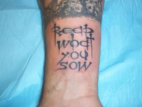 You Reap What You Sow Tattoo, Reap What You Sow Tattoo, So Tattoo, Star Wars Silhouette, Rosy Maple Moth, Bear Paw Print, 13 Tattoos, Reap What You Sow, Scar Tattoo