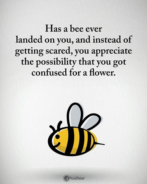 Power of Positivity on Instagram: “Type YES if you agree.  Has a bee ever landed on you, instead of getting scared, you appreciate the possibility that you got confused for a…” Bee Humor, Bee Happy Quotes, Nature Appreciation, Bee Utiful, Bee Quotes, Bee Inspired, Happy Hippie, Bee Art, Power Of Positivity