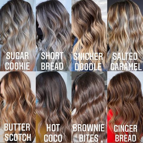 Balayage Hair Videos, Hot Brownie, Cosmetology Career, Snicker Doodle, Brunette Roots, Root Melt, Butter Scotch, Dimensional Brunette, Short Bread