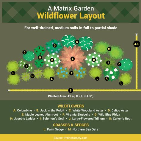 Matrix Gardening, Matrix Planting, Slope Gardening, Ornamental Grass Landscape, Backyard Orchard, Garden Palette, Garden Design Pictures, Plants Nursery, Naturalistic Garden