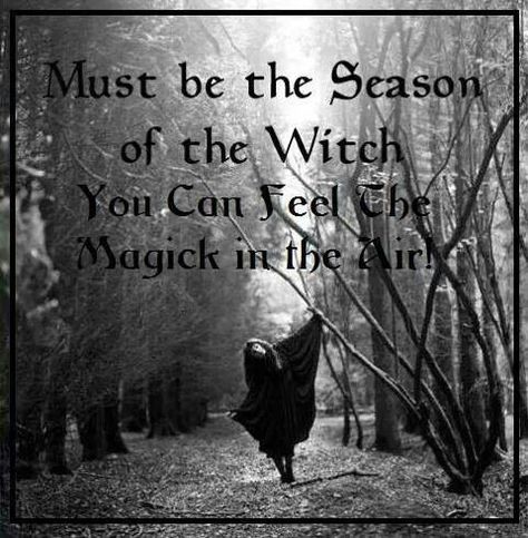 Must be the season of the witch The Season Of The Witch, Samhain Halloween, Witch Spell, Season Of The Witch, Witchy Woman, The Witch, Samhain, Coven, Book Of Shadows