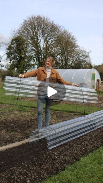 Garden Cloche Ideas, Garden Frost Protection, Garden Cloche Diy, Parsnips And Carrots, Garden Enclosure Ideas, Allotment Garden, Garden Cloche, Garden Antiques, Orchard Garden