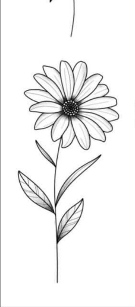 Daisy Tattoo Stencil Outline, Daisy Tattoo Petals Falling, Daisy Outline Drawing, Simple Flower Tattoo Stencil, Simple Daisy Tattoo Outline, Easy Outline Tattoos, Daisy Tattoo Outline, Daisy Tattoo Stencil, Simple Tattoo Stencils Outline Design