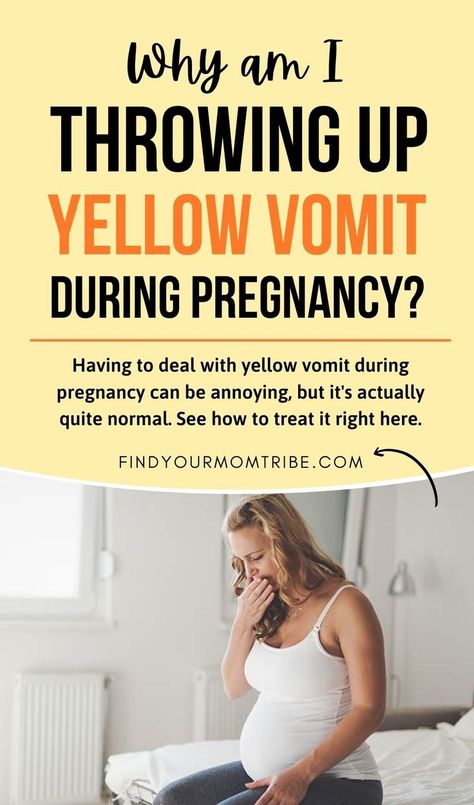 Having to deal with yellow vomit during pregnancy can be annoying, but it's actually quite normal. See how to treat it right here. Pregnancy Symptoms, Yellow