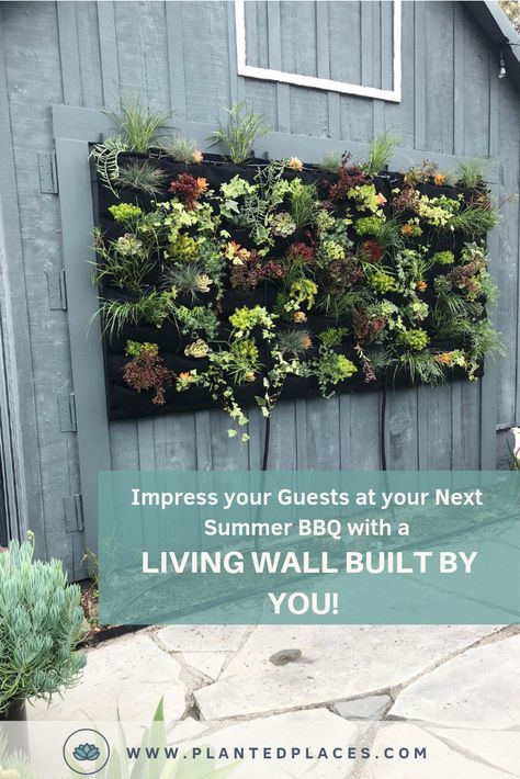 Vertical Garden Wall Succulent, Outdoor Living Wall Ideas, Plants On Wall Outdoor, Outdoor Garden Wall Ideas, Wall Plants Outdoor, Wall Garden Ideas Outdoor, Funky Garden Ideas, Living Wall Outdoor, Plant Wall Outdoor