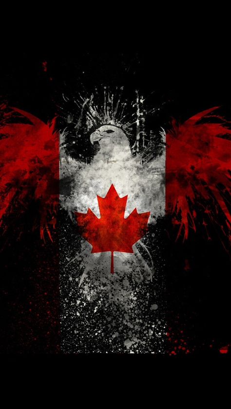 Cool eagle with Canadian flag Fotos Do Canada, Canadian Flag Art, Canada Day Images, Signs Youre In Love, Wildlife Wallpaper, Canadian Wildlife, Flag Wallpaper, Happy Canada Day, O Canada