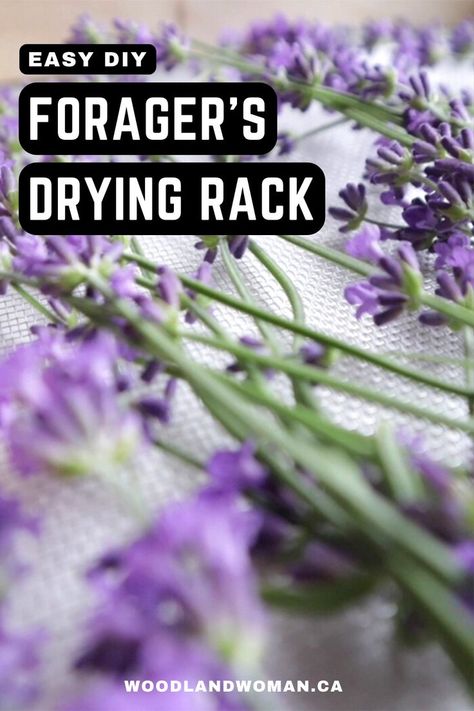 Diy Flower Drying Rack, Herb Drying Rack Diy, Flower Drying Rack, Diy Herb Drying Rack, Preserve Herbs, Herb Drying Rack, Flower Drying, Herb Drying, Grass Art