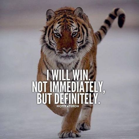 Best quote on success | quotes for life|successful quote


#successfulquote
#Bestquoteonsuccess
#quotesforlife Tiger Quotes, I Will Win, Lion Quotes, Daily Burn, Attraction Affirmations, Can't Stop Won't Stop, Warrior Quotes, Robert Kiyosaki, A Tiger