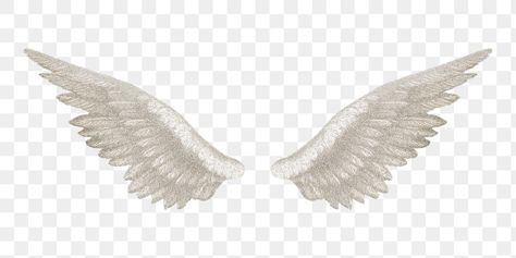 Wings Illustration, Angel Wings Png, Bird Png, Wings Png, White Angel Wings, White Angel, White Bird, Png Transparent, Angel Wings