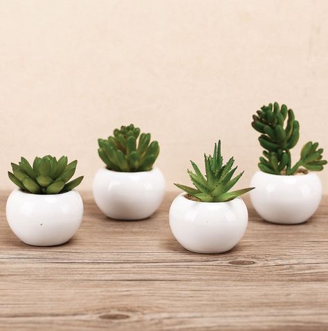 Planters Indoor, Cactus Plant Pots, Pots Set, White Ceramic Planter, Fake Plants Decor, Minimalist Garden, Fake Succulents, Diy Plant Stand, Tiny Plants