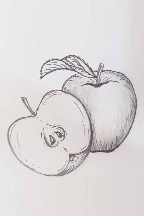 How to draw an apple very easy step by step Apple Tutorial Drawing, Drawing Apple Pencil, Apple Of My Eye Drawing, Apple Line Drawing, Apple Sketch Pencil, How To Draw Apple, How To Draw An Apple, Apple Drawing Simple, Drawing Of Apple