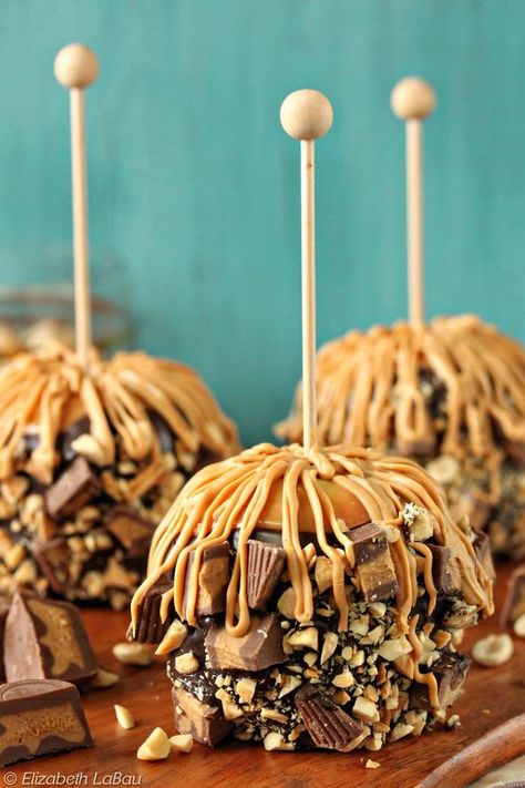 16 Caramel Apple Recipes! We Got Ya Covered! Caramel Apple Recipes, Gourmet Candy Apples, Chocolate Caramel Apples, Peanut Butter Caramel, Gourmet Caramel Apples, Candy Apple Recipe, Caramel Apples Recipe, Gourmet Apples, Butter Caramel