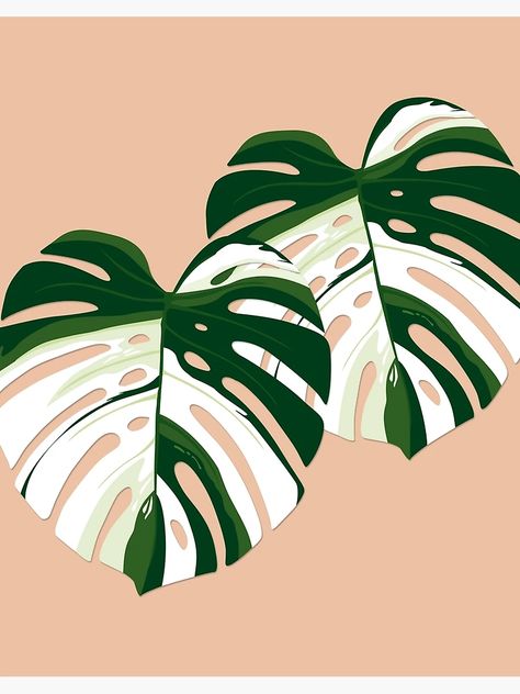 "Monstera Deliciosa Variegata - illustration" Art Board Print by Martina-Ludewig | Redbubble Realtor Logos, Monstera Illustration, Leaf Aesthetic, Monstera Variegata, Botanical Sketches, Clay Cafe, Clay Patterns, Oc Stuff, Rug Designs