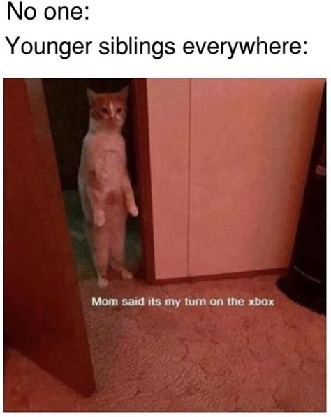 Sibling Memes, Siblings Funny, My Turn, Crazy Funny Memes, Memes Humor, Wholesome Memes, Funny Animal Memes, Some Funny Jokes, Really Funny Memes