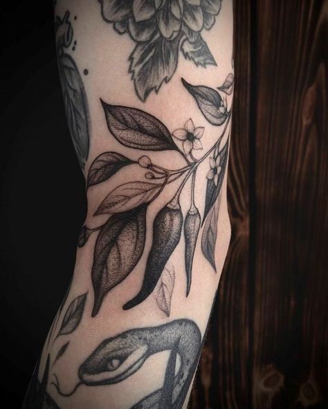 Chili Pepper Plant Tattoo, Chilli Plant Tattoo, Chili Plant Tattoo, Plant With Eyes Tattoo, Pepper Plant Tattoo, Sriracha Tattoo, Chilly Tattoo, Jalapeno Tattoo, Chilli Pepper Tattoo