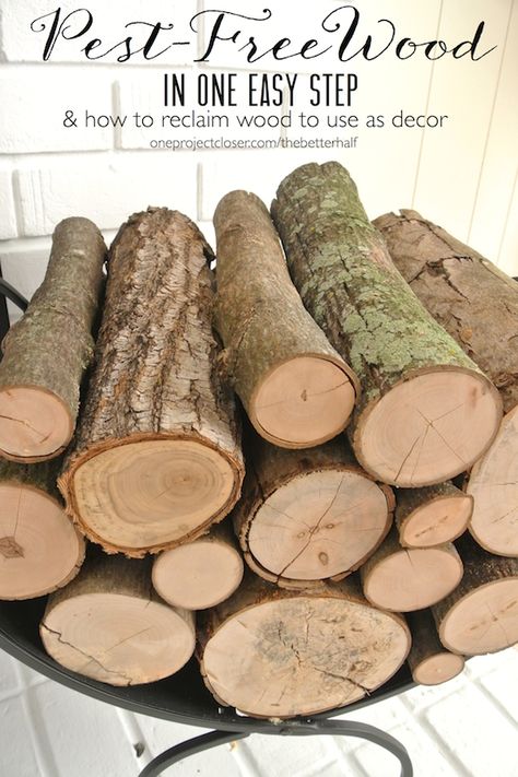 How to Kill Bugs in Wood: My FREE Decorative Logs How To Dry Wood Slices, How To Dry Wood, Wood Log Crafts, White Brick Fireplace, Log Projects, Kill Bugs, Dry Branch, Birch Logs, Blogger Home