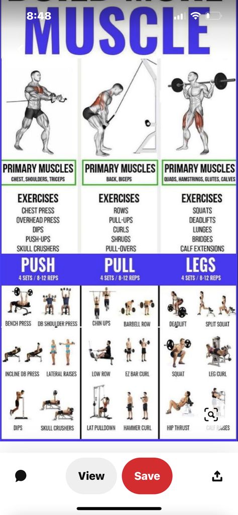 Push Pull Workout Routine, Push Pull Legs Workout, Leg Workout Plan, Push Day Workout, Push Pull Workout, Pull Workout, Pull Day Workout, Yoga Ideas, Push Pull Legs