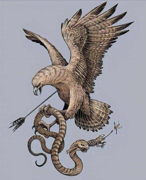 Eagle And Snake Drawing, Hawk And Snake Tattoo, Eagle Holding Snake Tattoo, Eagle Snake Tattoo, Eagle And Snake Tattoo, Eagle And Snake, Goth Stickers, Falcon Tattoo, Eagle Snake