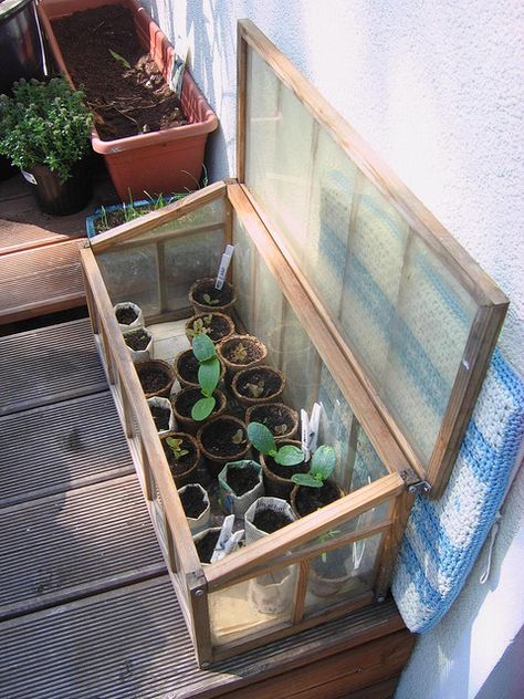 Balcony-sized greenhouse Balcony Greenhouse, Apartment Porch, Herb Box, Roof Gardens, Herb Boxes, Diy Balcony, Urban Farmer, Green Inspiration, Garden Help