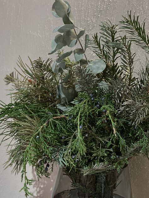 Juniper Bouquet, Decor Plants, Pine Tree, Plants