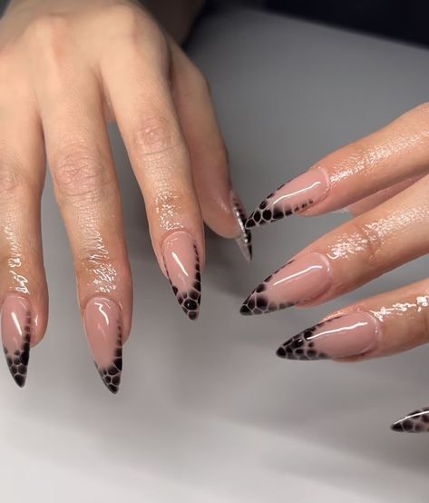 Black Gel Nails Almond, Black Nails Inspo Almond, Almond Black Nails Design, Black Animal Print Nails, Black Trendy Nails, Black Almond Nails Designs, Almond Nails Black, Black Nails Acrylic, Acrylic Nails Black