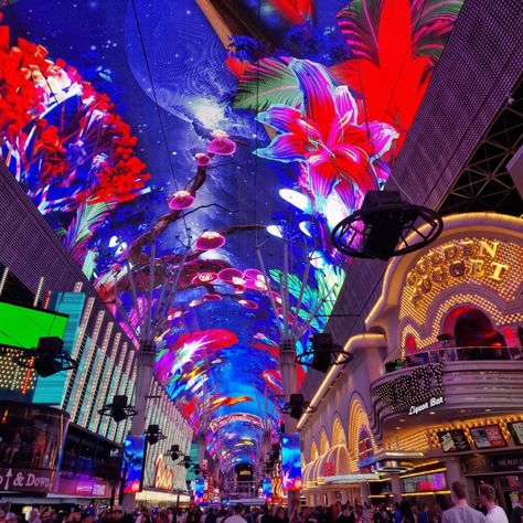 Never met a sensory overload like downtown Las Vegas. Highly recommend visiting the Container Park, Mob Museum, and my absolute fave the Neon Museum #lasvegas #downtownlasvegas #neonmuseum Container Park, Mob Museum, The Neon Museum, Museums In Las Vegas, Neon Museum, Las Vegas Vacation, Sensory Overload, Vegas Vacation, Downtown Las Vegas