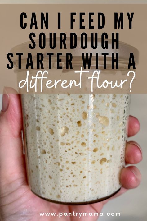 Sour Dough Bread Starter Recipe, Different Types Of Flour, Dough Starter Recipe, Sourdough Starters, Recipe Using Sourdough Starter, Making Sourdough Bread, Healthy Flour, Sourdough Bread Starter, Dough Starter