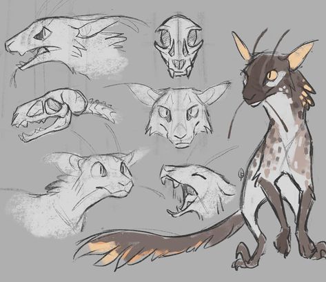 Chloe on Instagram: “Trying to develop my cat/raptor boys a lil more” Cat Drawing Tutorial, Creative Drawings, Cool Monsters, Warrior Cats Art, Cat Character, Creatures Art, Mythical Creatures Art, Creature Concept Art, Animal Sketches