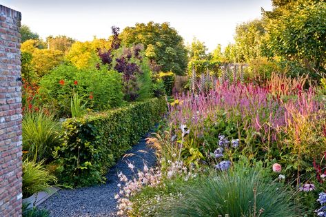 A small Dutch garden with distinctive structure and planting style Crocosmia Lucifer, Pink Perennials, Dutch Gardens, Orange Sunflowers, Blue Tree, Chelsea Flower Show, Garden Borders, Perennial Garden, Plant Design