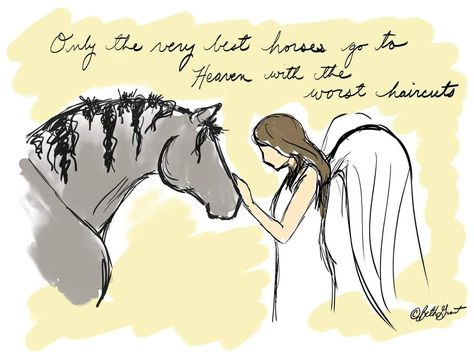 Horse Shadow Box, Horse Remembrance, Worst Haircuts, Horse Memory, Western Aesthetic Wallpaper, Angel Heaven, Good Happy Quotes, Horse Memorial, Cute Horse Pictures